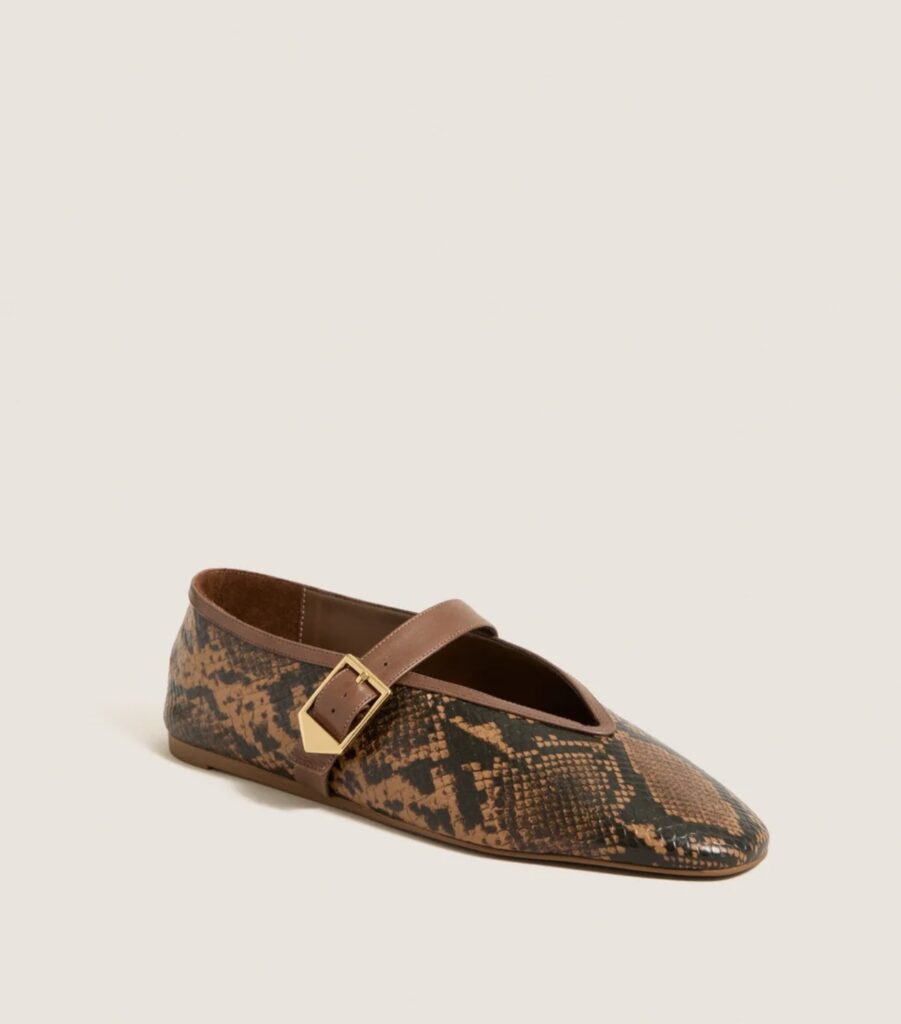 Mary Jane ballet flat for fall shoes