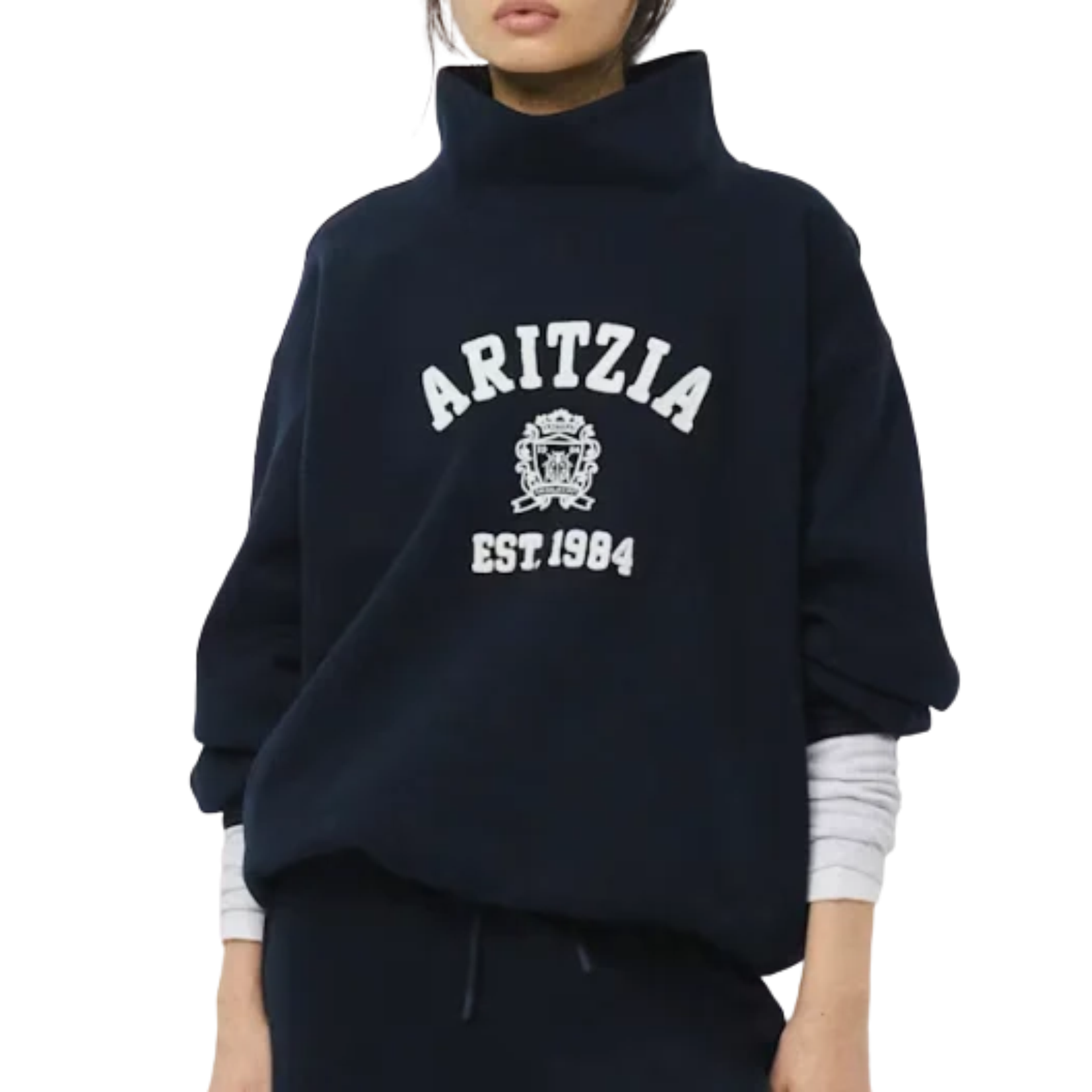 aritzia sweatshirt